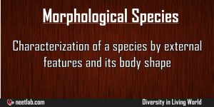 Morphological Species Diversity In Living World Explanation