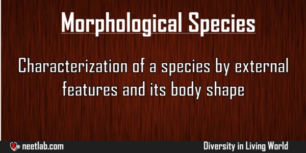 Morphological Species Diversity In Living World Explanation 