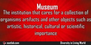 Museum Diversity In Living World Explanation