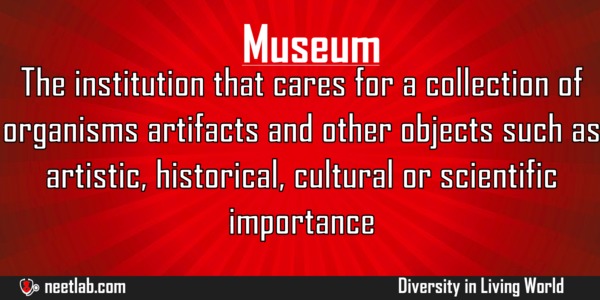 Museum Diversity In Living World Explanation 