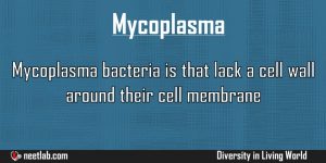 Mycoplasma Diversity In Living World Explanation