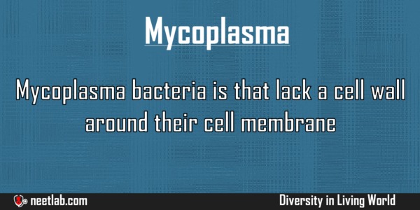 Mycoplasma Diversity In Living World Explanation 