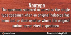 Neotype Diversity In Living World Explanation