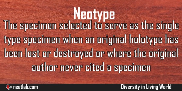 Neotype Diversity In Living World Explanation 