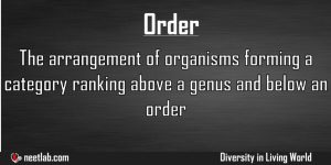 Order Diversity In Living World Explanation