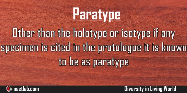 Paratype Diversity In Living World Explanation 