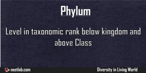 Phylum Diversity In Living World Explanation