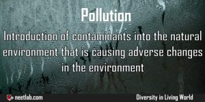 Pollution Diversity In Living World Explanation