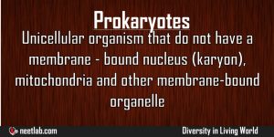 Prokaryotes Diversity In Living World Explanation