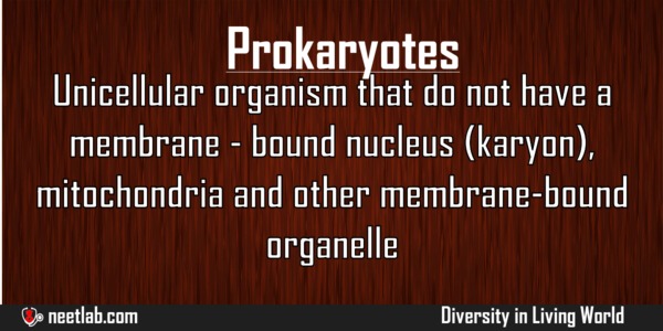 Prokaryotes Diversity In Living World Explanation 