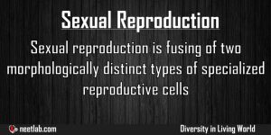 Sexual Reproduction Diversity In Living World Explanation