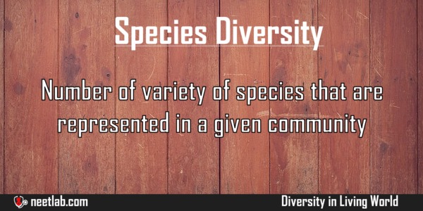 Species Diversity Diversity In Living World Explanation 