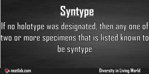 Syntype Diversity In Living World Explanation