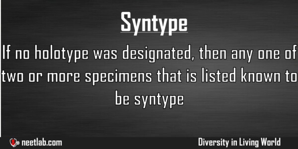 Syntype Diversity In Living World Explanation 