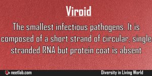 Viroid Diversity In Living World Explanation