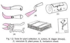 Herbarium Tools