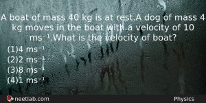 A Boat Of Mass 40 Kg Is At Resta Dog Physics Question