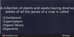 A Collection Of Plants And Seeds Having Diverse Alleles Of Biology Question
