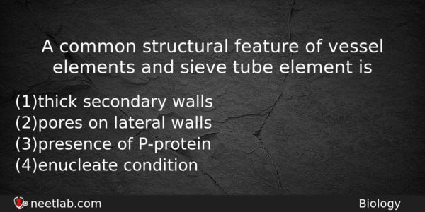 A Common Structural Feature Of Vessel Elements And Sieve Tube Biology Question 