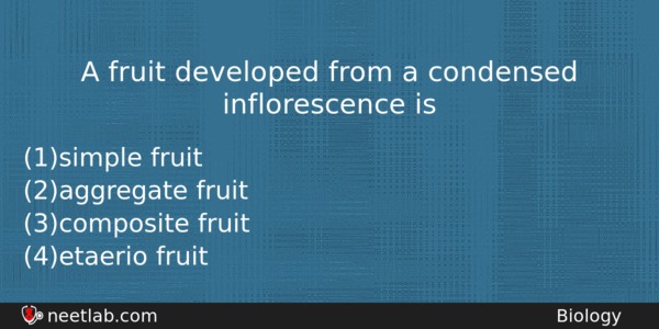 A Fruit Developed From A Condensed Inflorescence Is Biology Question 