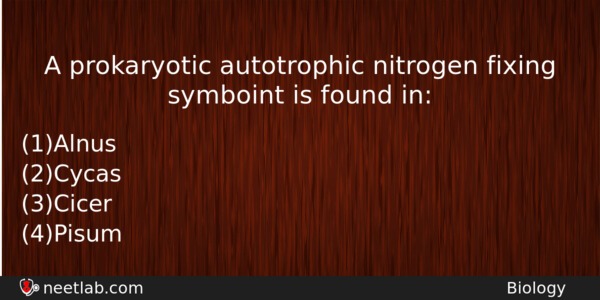 A Prokaryotic Autotrophic Nitrogen Fixing Symboint Is Found In Biology Question 