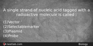 A Single Strand Of Nucleic Acid Tagged With A Radioactive Biology Question
