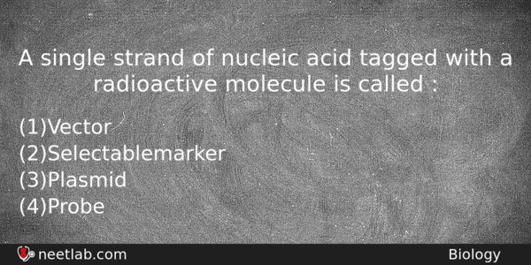 A Single Strand Of Nucleic Acid Tagged With A Radioactive Biology Question 