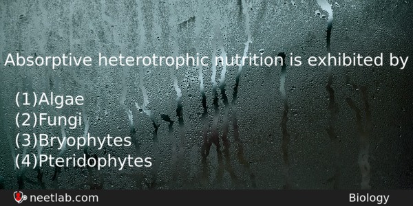 Absorptive Heterotrophic Nutrition Is Exhibited By Biology Question 