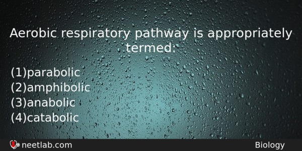 Aerobic Respiratory Pathway Is Appropriately Termed Biology Question 