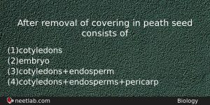 After Removal Of Covering In Peath Seed Consists Of Biology Question