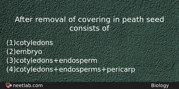 After Removal Of Covering In Peath Seed Consists Of Biology Question 