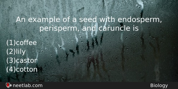 An Example Of A Seed With Endosperm Perisperm And Caruncle Biology Question 