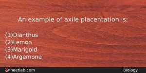 An Example Of Axile Placentation Is Biology Question