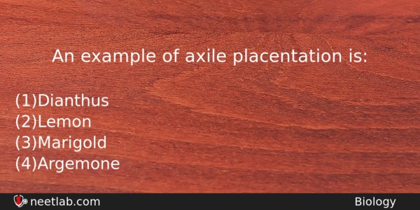 An Example Of Axile Placentation Is Biology Question 