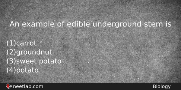 An Example Of Edible Underground Stem Is Biology Question 