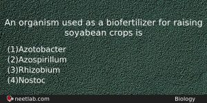 An Organism Used As A Biofertilizer For Raising Soyabean Crops Biology Question