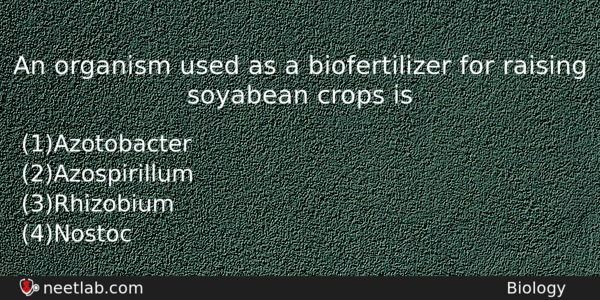 An Organism Used As A Biofertilizer For Raising Soyabean Crops Biology Question 