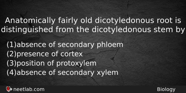 Anatomically Fairly Old Dicotyledonous Root Is Distinguished From The Dicotyledonous Biology Question 