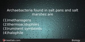 Archaebacteria Found In Salt Pans And Salt Marshes Are Biology Question
