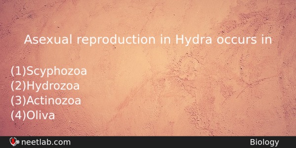 Asexual Reproduction In Hydra Occurs In Biology Question 