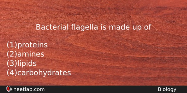 Bacterial Flagella Is Made Up Of Biology Question 