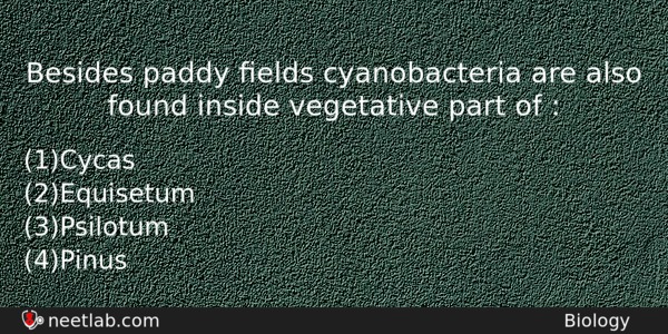 Besides Paddy Elds Cyanobacteria Are Also Found Inside Vegetative Part Biology Question 