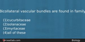 Bicollateral Vascular Bundles Are Found In Family Biology Question