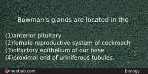 Bowmans Glands Are Located In The Biology Question