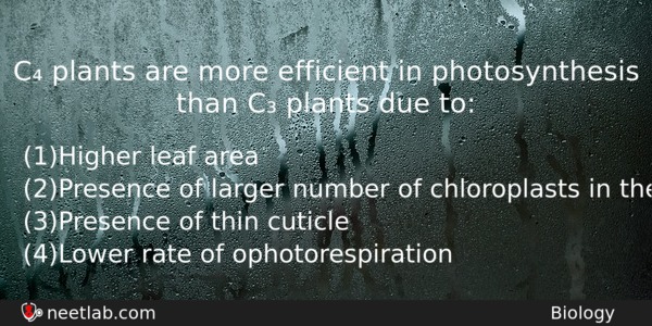 C Plants Are More Efficient In Photosynthesis Than C Plants Biology Question 