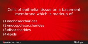 Cells Of Epithelial Tissue On A Basement Membrane Which Is Biology Question