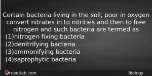 Certain Bacteria Living In The Soil Poor In Oxygen Convert Biology Question