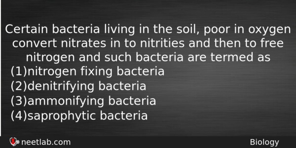 Certain Bacteria Living In The Soil Poor In Oxygen Convert Biology Question 