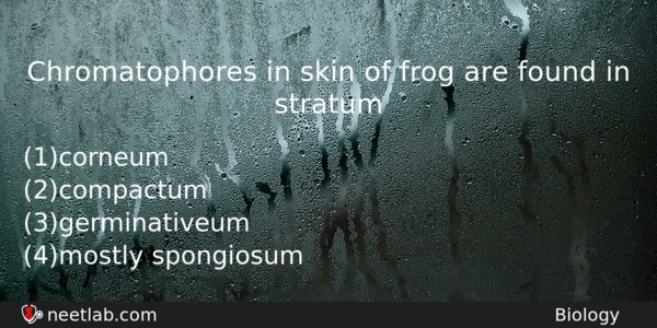 Chromatophores In Skin Of Frog Are Found In Stratum Biology Question 