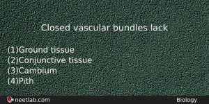 Closed Vascular Bundles Lack Biology Question